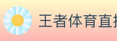 王者体育直播 logo